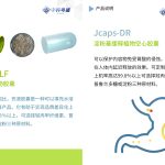 企业胶囊产品手册